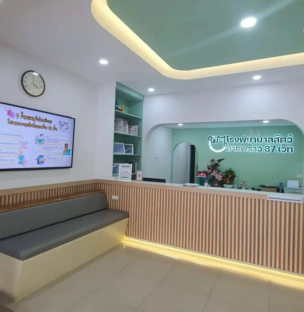 โรงพยาบาลสัตว์ลาดพร้าว 87 เว็ท (Ladprao 87 vet animal hospital) คลินิก-โรงพยาบาลสัตว์ กรุงเทพมหานคร 2