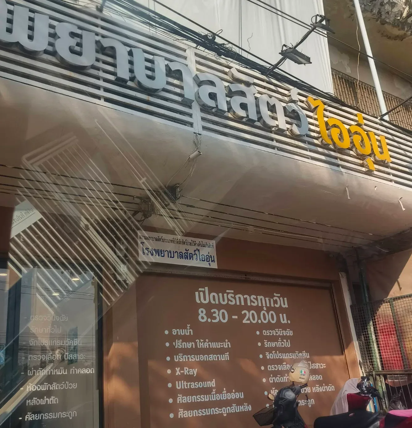โรงพยาบาลสัตว์ไออุ่น คลินิก-โรงพยาบาลสัตว์ กรุงเทพมหานคร 5