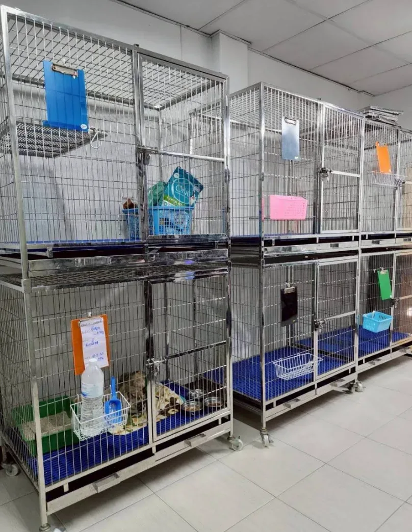 โรงพยาบาลสัตว์สวนหลวง พัฒนาการ 63 คลินิก-โรงพยาบาลสัตว์ กรุงเทพมหานคร 6