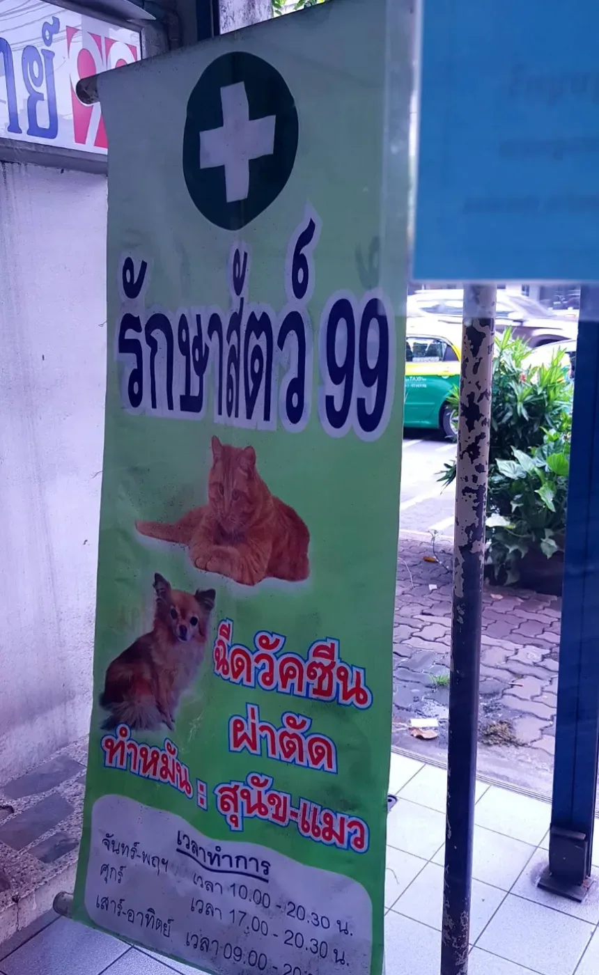 คลินิกสัตวแพทย์ 99 คลินิก-โรงพยาบาลสัตว์ กรุงเทพมหานคร 3
