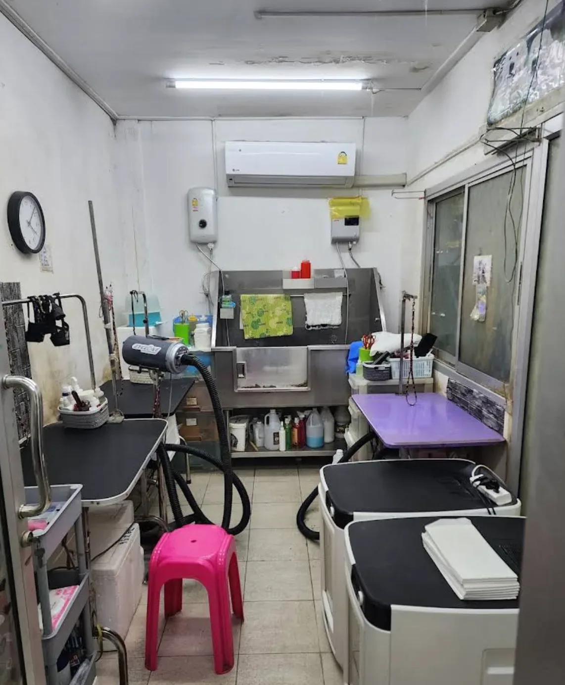 บี พี รักษาสัตว์ คลินิก-โรงพยาบาลสัตว์ กรุงเทพมหานคร 5