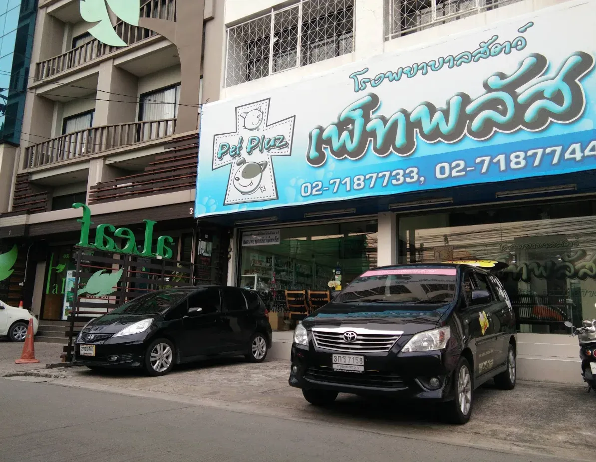 โรงพยาบาลสัตว์ เพ็ทพลัส คลินิก-โรงพยาบาลสัตว์ กรุงเทพมหานคร 3