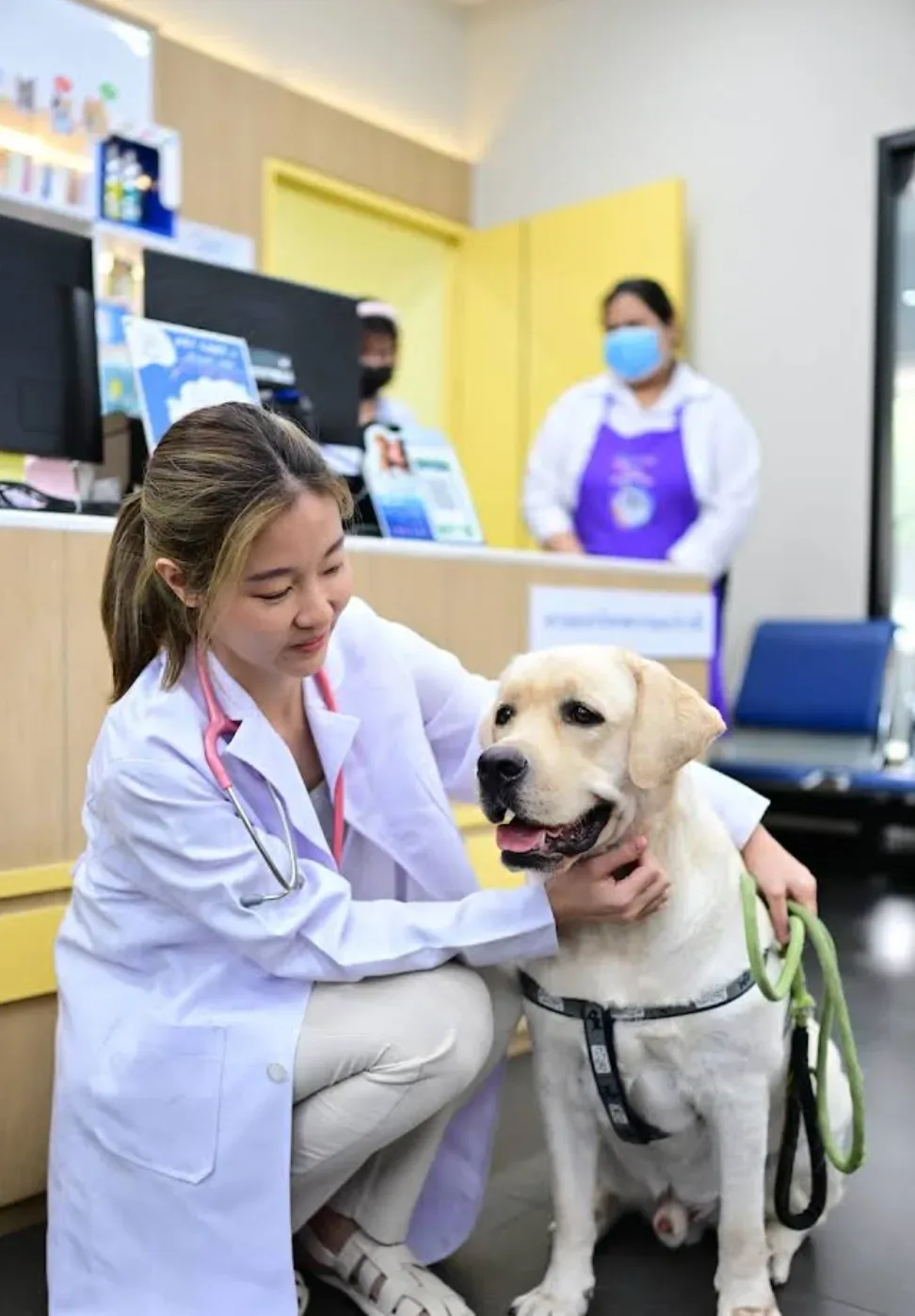 Pet Care + (คลินิก เพ็ทแคร์ พลัส) คลินิก-โรงพยาบาลสัตว์ กรุงเทพมหานคร 5