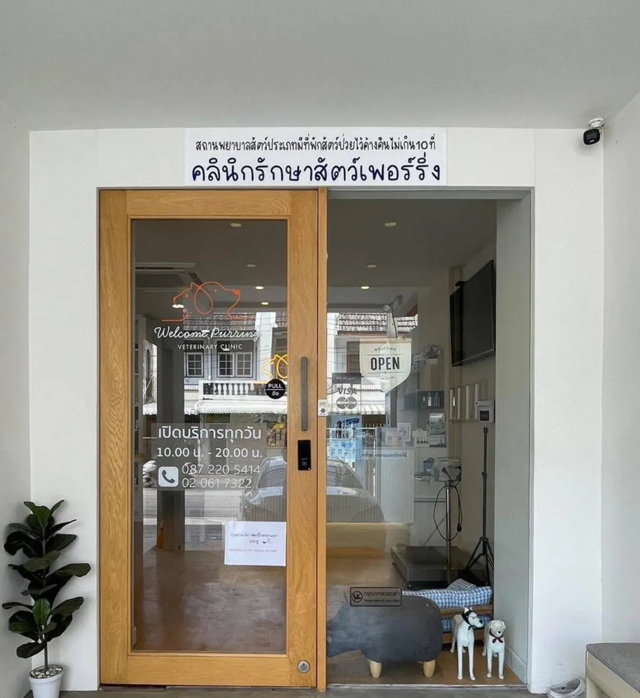 คลินิกรักษาสัตว์เพอร์ริ่ง คลินิก-โรงพยาบาลสัตว์ กรุงเทพมหานคร 5