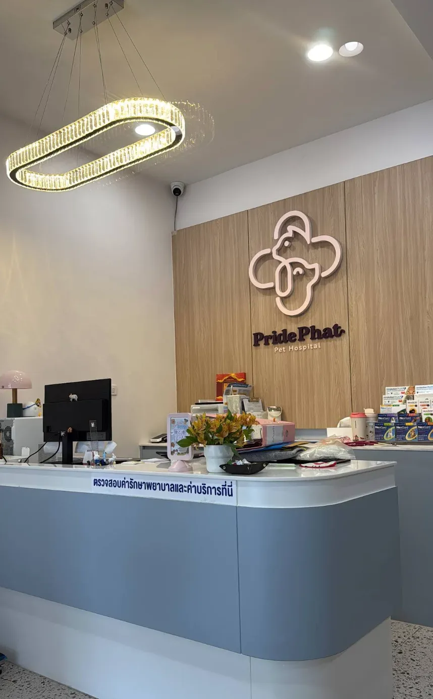 โรงพยาบาลสัตว์ไพรด์พัฒน์ เปิด 24 ชั่วโมง (PridePhat Pet Hospital) คลินิก-โรงพยาบาลสัตว์ กรุงเทพมหานคร 3