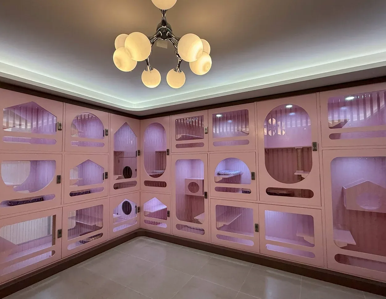 โรงพยาบาลสัตว์ไพรด์พัฒน์ เปิด 24 ชั่วโมง (PridePhat Pet Hospital) คลินิก-โรงพยาบาลสัตว์ กรุงเทพมหานคร 6
