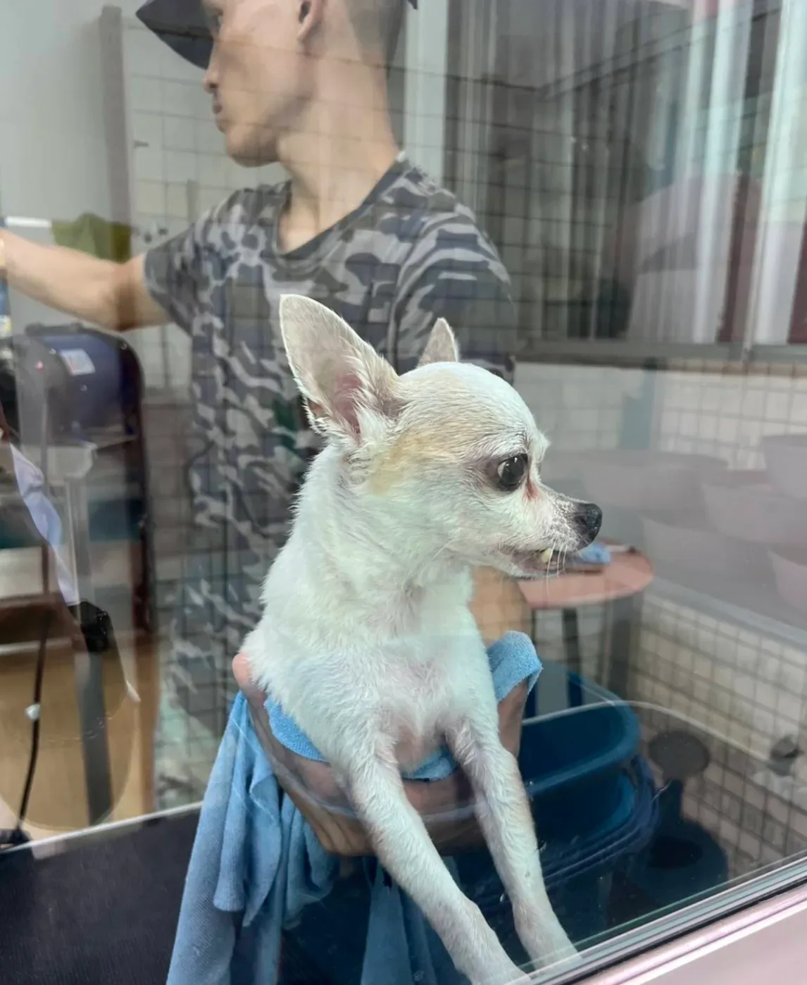 เดอะเพ็ทแคร์ (ThePetCare) คลินิก-โรงพยาบาลสัตว์ กรุงเทพมหานคร 3