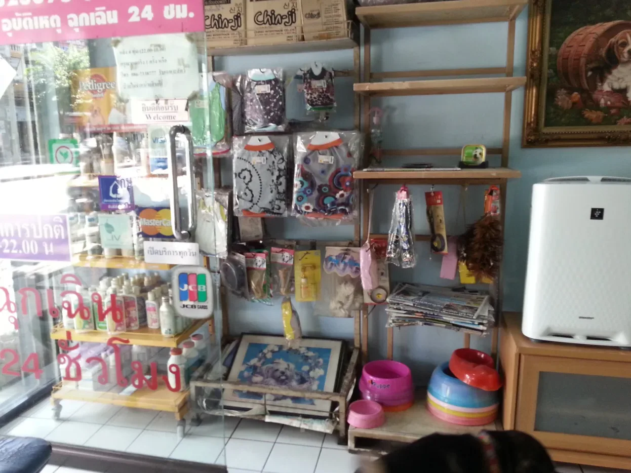 โรงพยาบาลสัตว์ฮันนี่ คลินิก-โรงพยาบาลสัตว์ กรุงเทพมหานคร 2