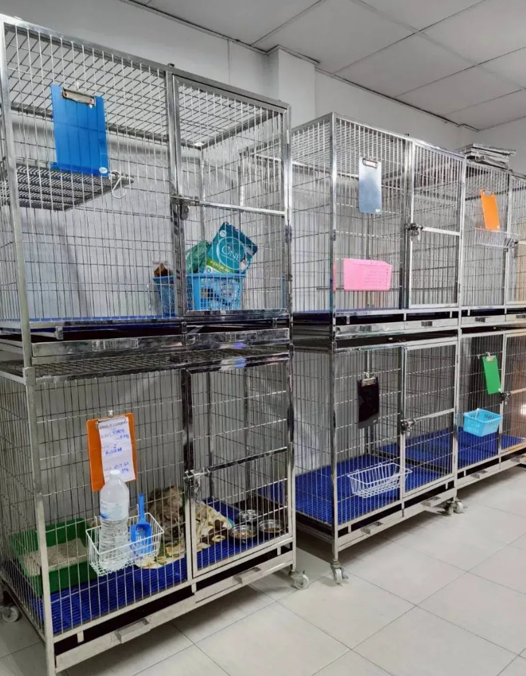 โรงพยาบาลสัตว์พัฒนาการ คลินิก-โรงพยาบาลสัตว์ กรุงเทพมหานคร 6