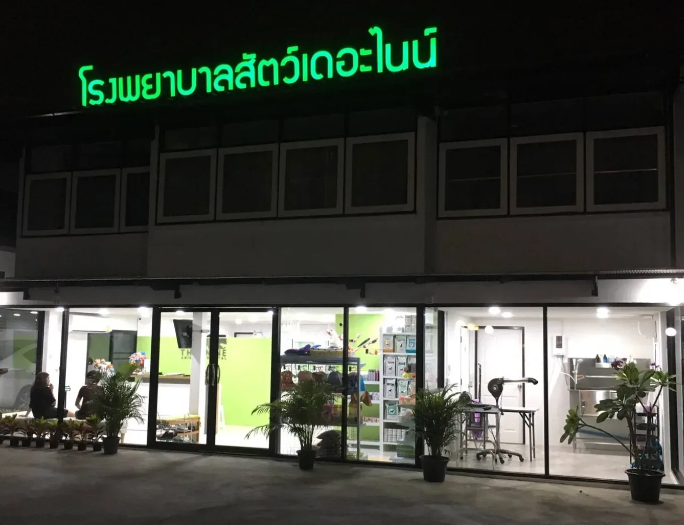 โรงพยาบาลสัตว์เดอะไนน์ (The Nine Animal Hospital) คลินิก-โรงพยาบาลสัตว์ กรุงเทพมหานคร 2