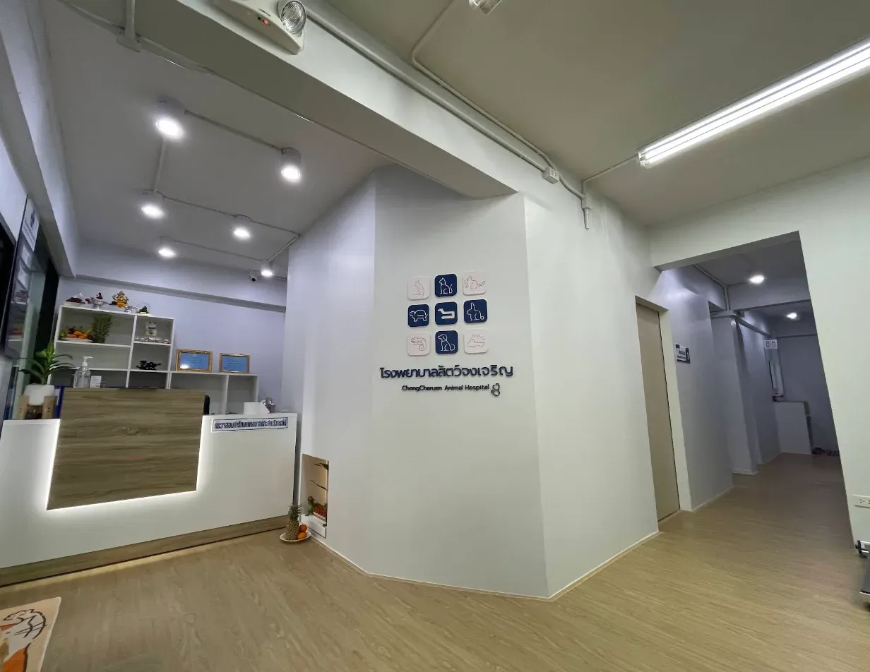 โรงพยาบาลสัตว์จงเจริญ คลินิก-โรงพยาบาลสัตว์ กรุงเทพมหานคร