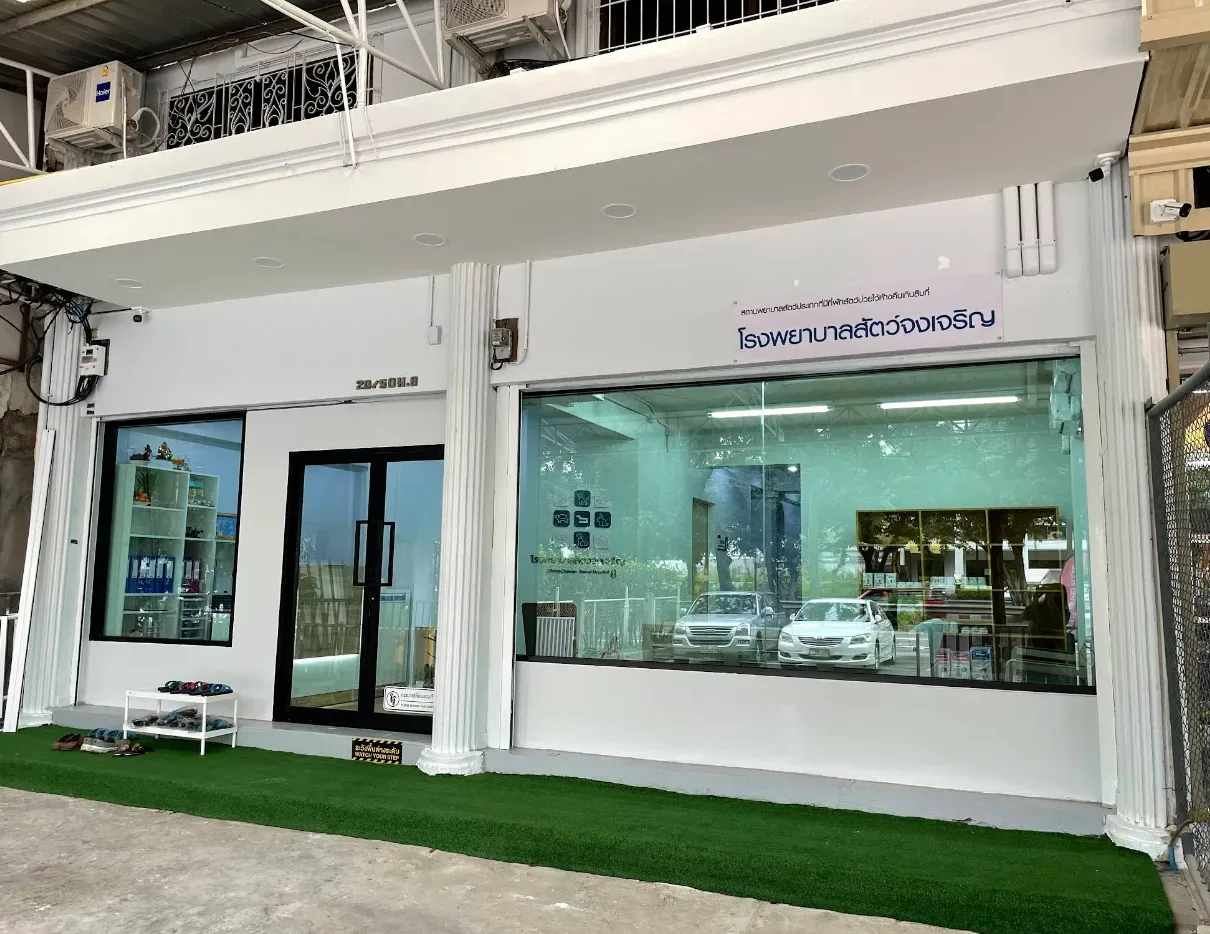 โรงพยาบาลสัตว์จงเจริญ คลินิก-โรงพยาบาลสัตว์ กรุงเทพมหานคร 3