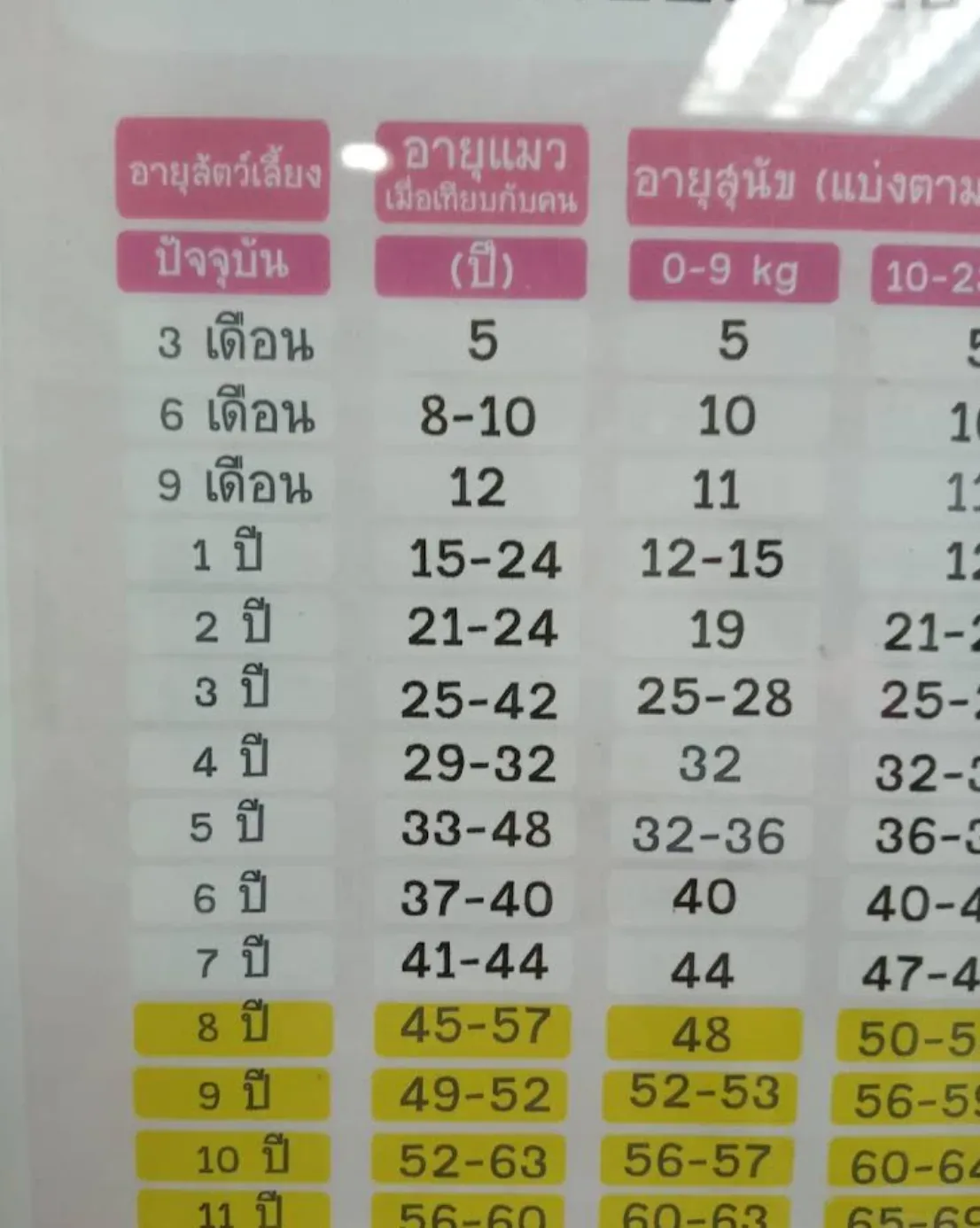 บ้านหนูตูบรักษาสัตว์ คลินิก-โรงพยาบาลสัตว์ กรุงเทพมหานคร 4