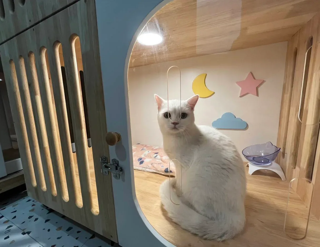 Purring Pet Vet Clinic คลินิกรักษาสัตว์เพอร์ริ่งเพ็ท คลินิก-โรงพยาบาลสัตว์ กรุงเทพมหานคร 5