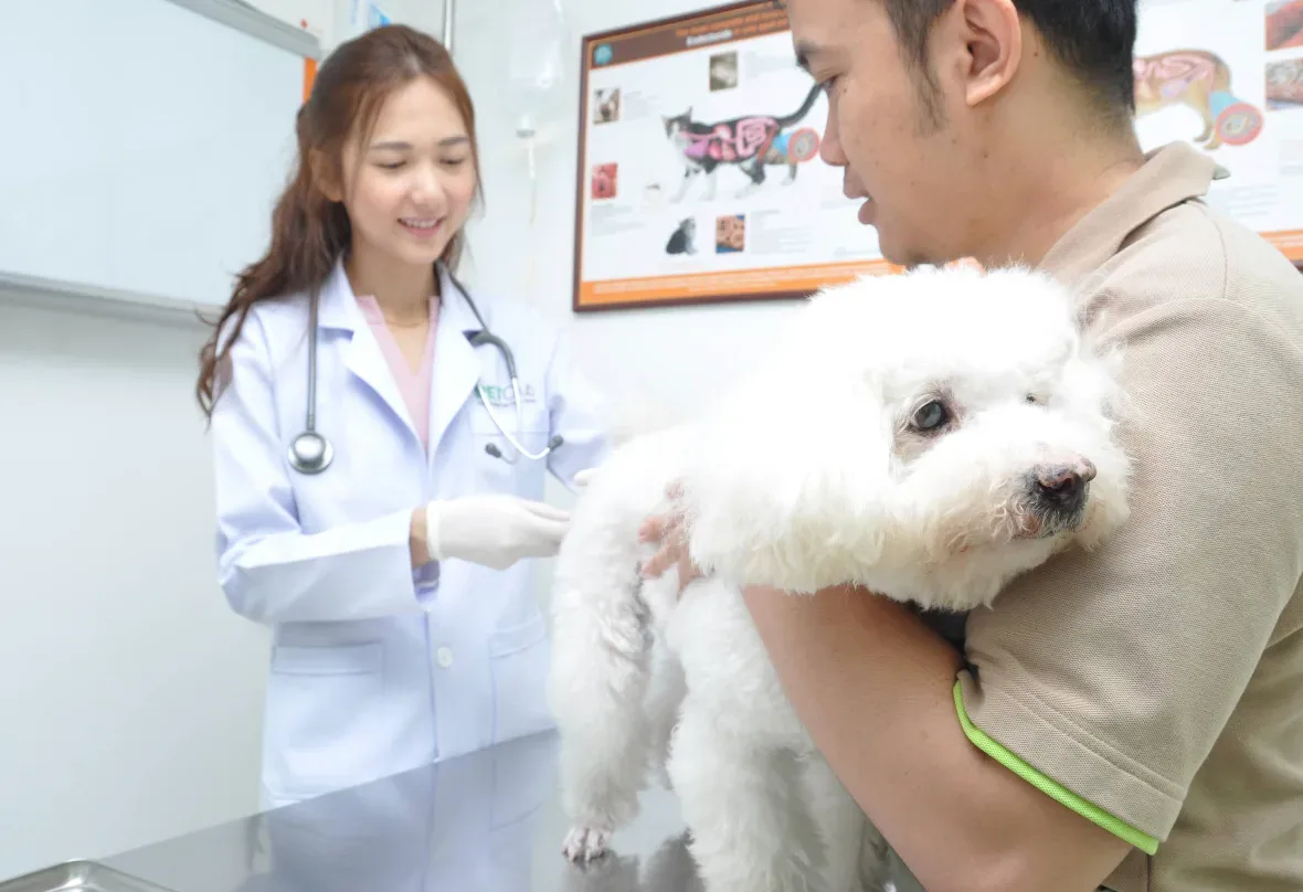 PETClub สาขาพัฒนาการ คลินิก-โรงพยาบาลสัตว์ กรุงเทพมหานคร