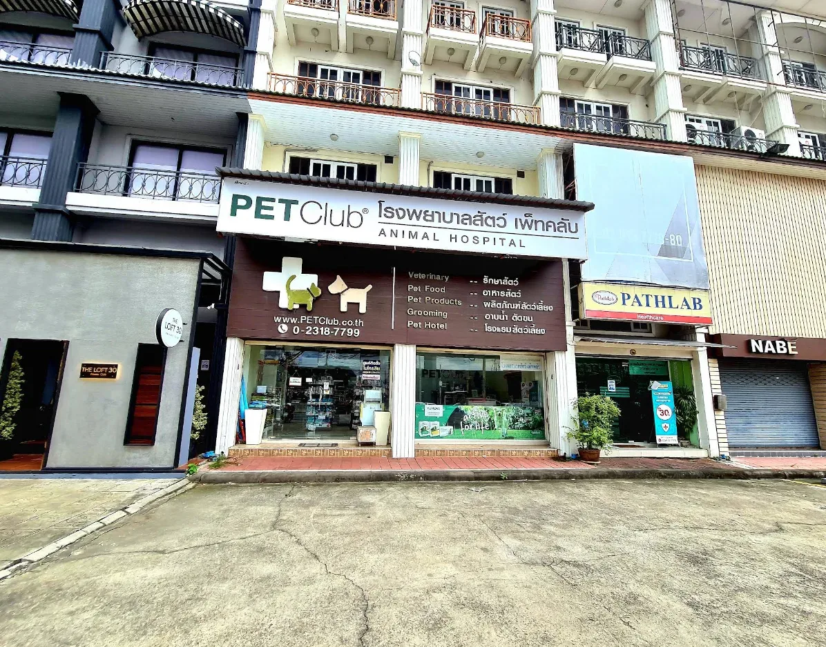 PETClub สาขาพัฒนาการ คลินิก-โรงพยาบาลสัตว์ กรุงเทพมหานคร 2