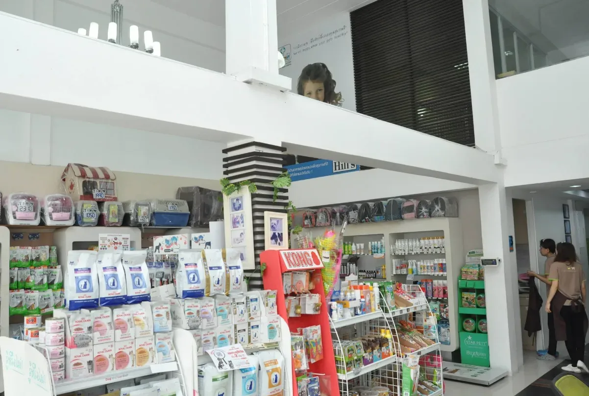 PETClub สาขาพัฒนาการ คลินิก-โรงพยาบาลสัตว์ กรุงเทพมหานคร 3