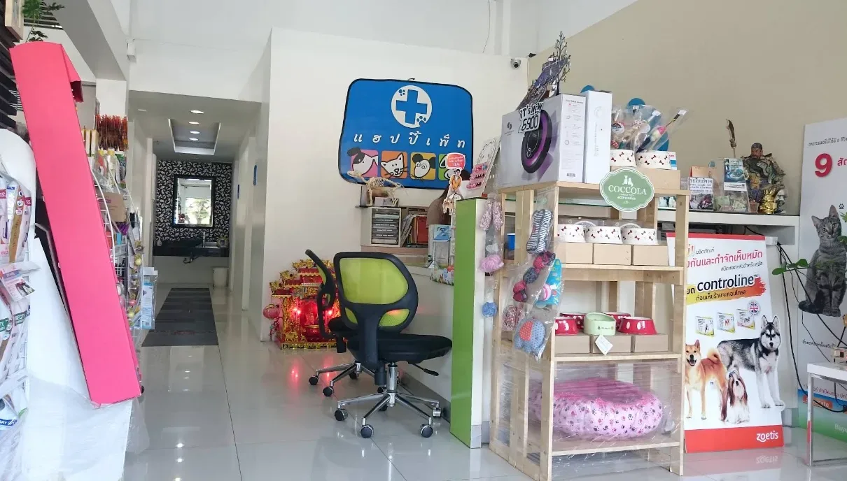 PETClub สาขาพัฒนาการ คลินิก-โรงพยาบาลสัตว์ กรุงเทพมหานคร 4