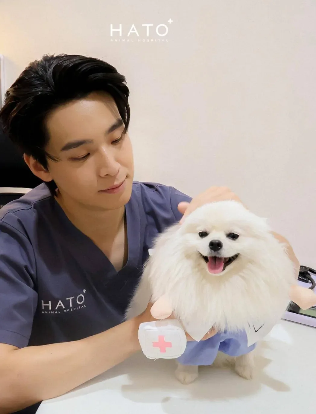 โรงพยาบาลสัตว์ฮาโตะ สาขาพัฒนาการ Hato Animal Hospital Phatthanakan คลินิก-โรงพยาบาลสัตว์ กรุงเทพมหานคร 3