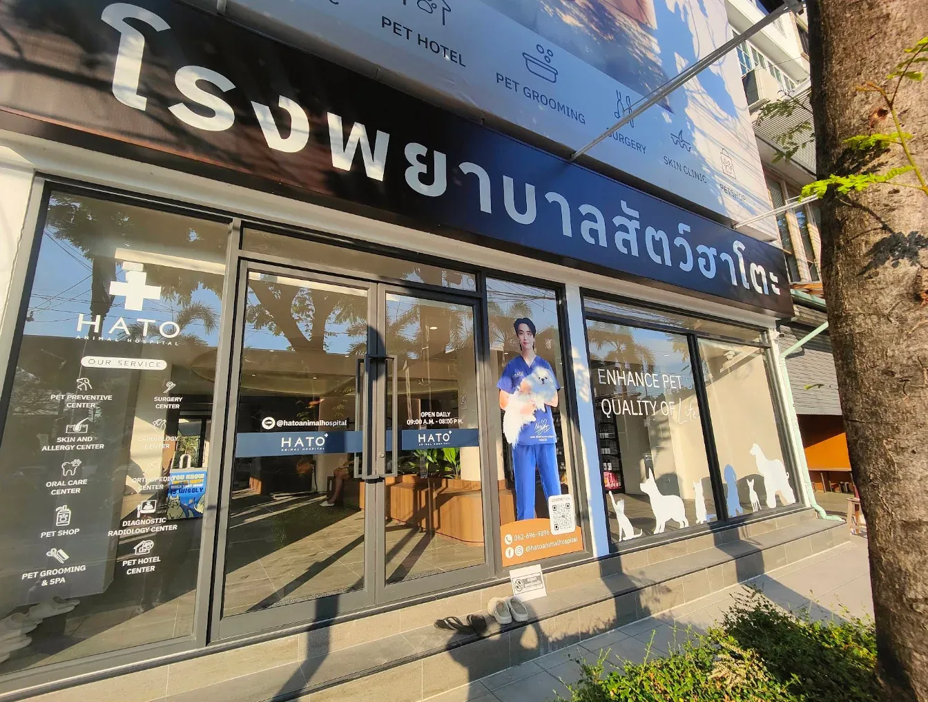 โรงพยาบาลสัตว์ฮาโตะ สาขาพัฒนาการ Hato Animal Hospital Phatthanakan คลินิก-โรงพยาบาลสัตว์ กรุงเทพมหานคร 6