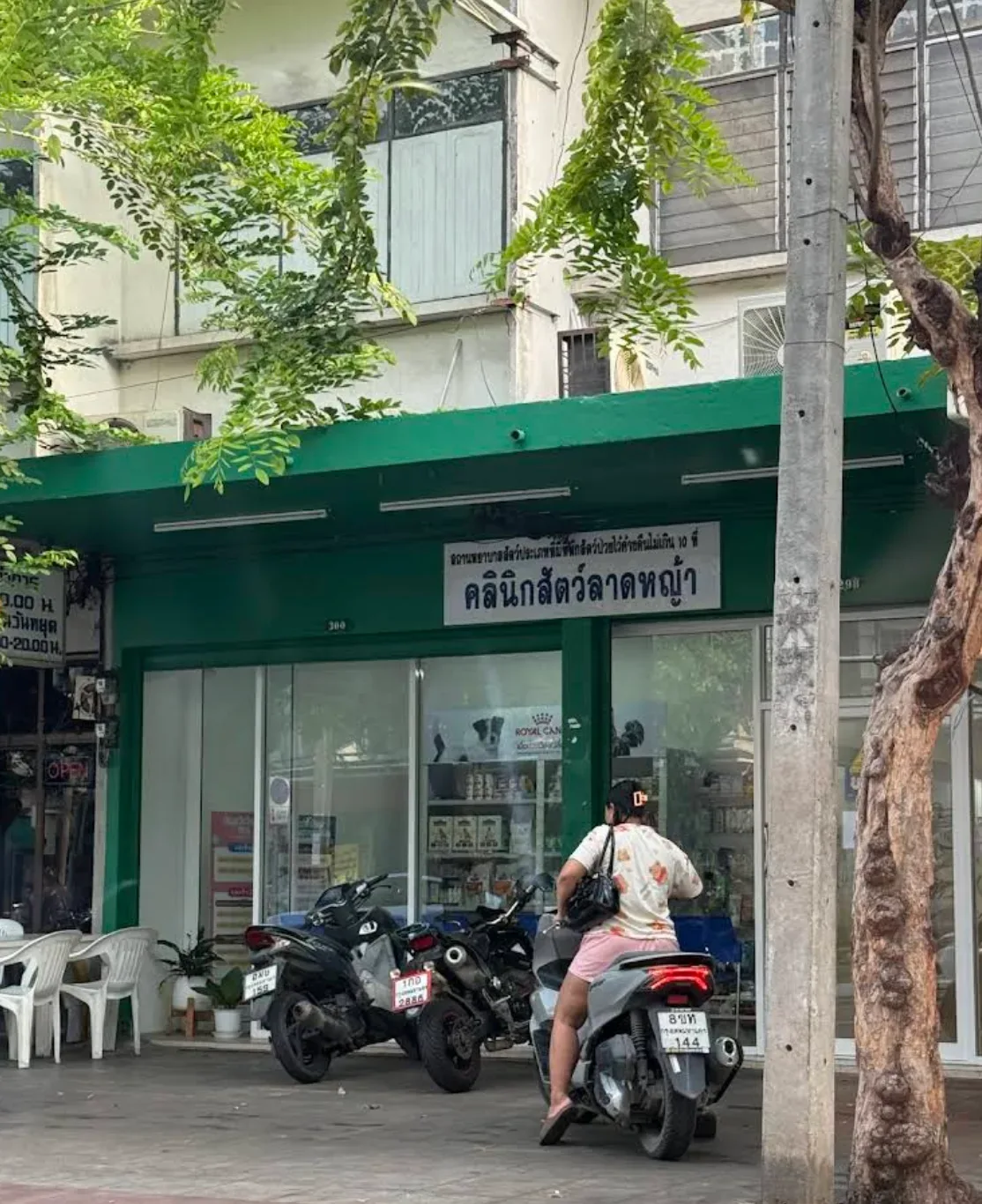 คลีนิคสัตว์ลาดหญ้า คลินิก-โรงพยาบาลสัตว์ กรุงเทพมหานคร 5