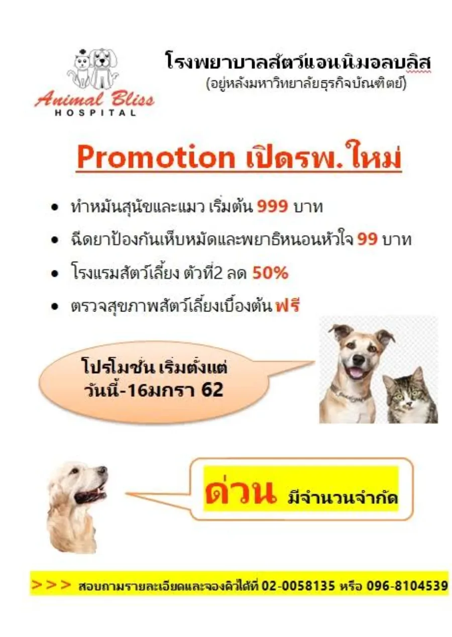 โรงพยาบาลสัตว์แอนนิมอลบลิส – Animal Bliss Hospital คลินิก-โรงพยาบาลสัตว์ กรุงเทพมหานคร 5