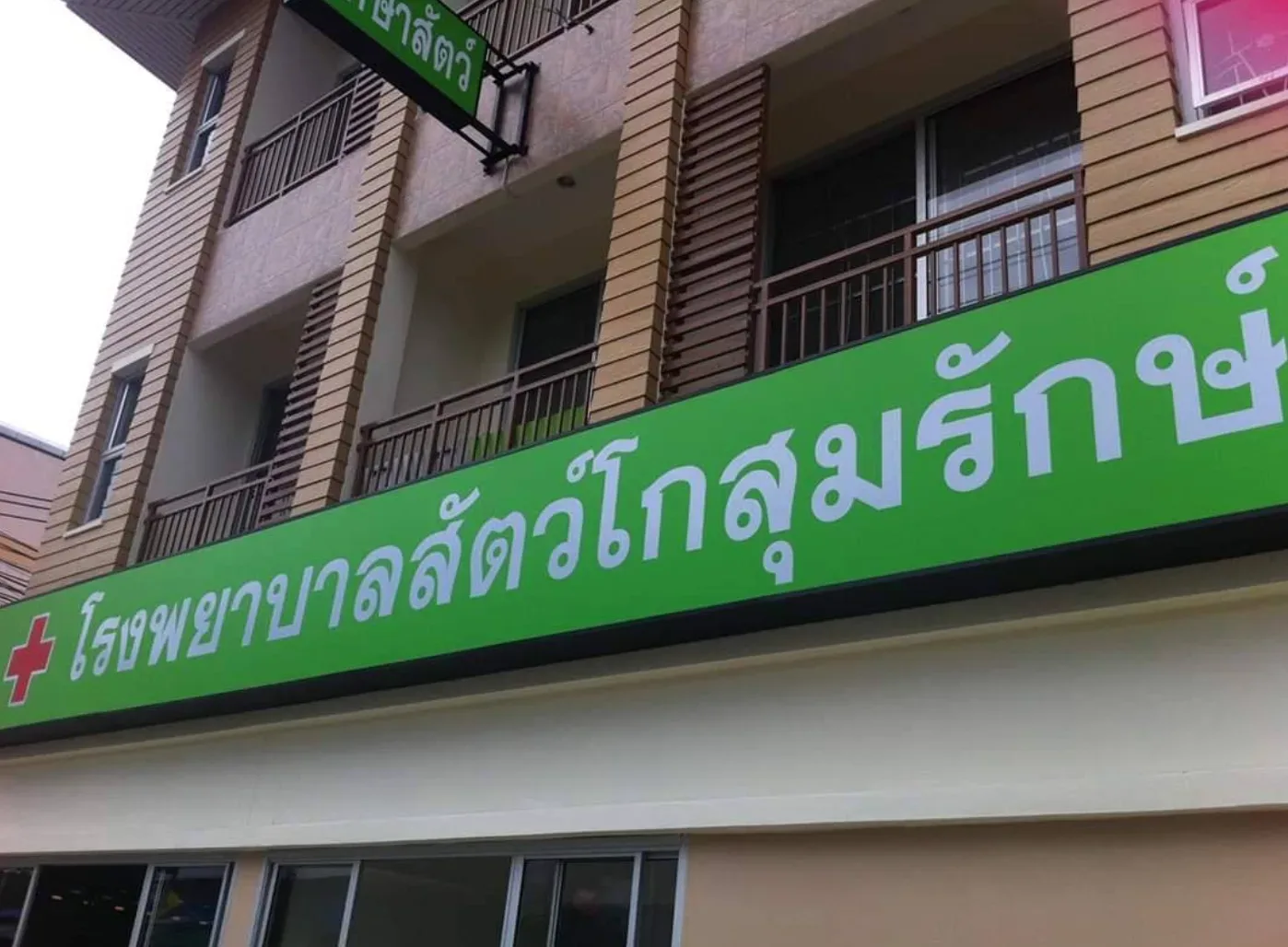 โรงพยาบาลสัตว์โกสุมรักษ์ คลินิก-โรงพยาบาลสัตว์ กรุงเทพมหานคร 2