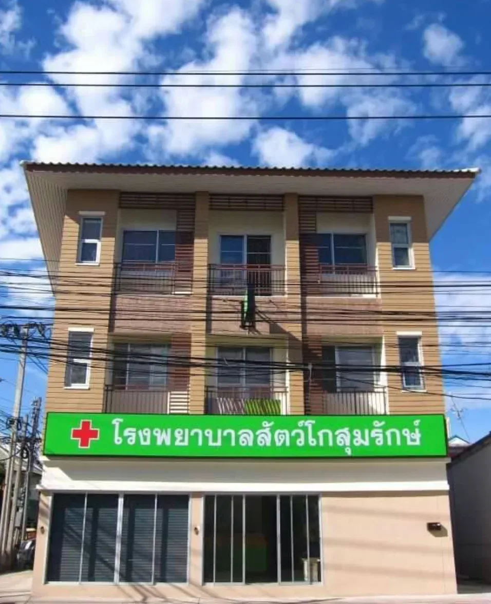 โรงพยาบาลสัตว์โกสุมรักษ์ คลินิก-โรงพยาบาลสัตว์ กรุงเทพมหานคร 3