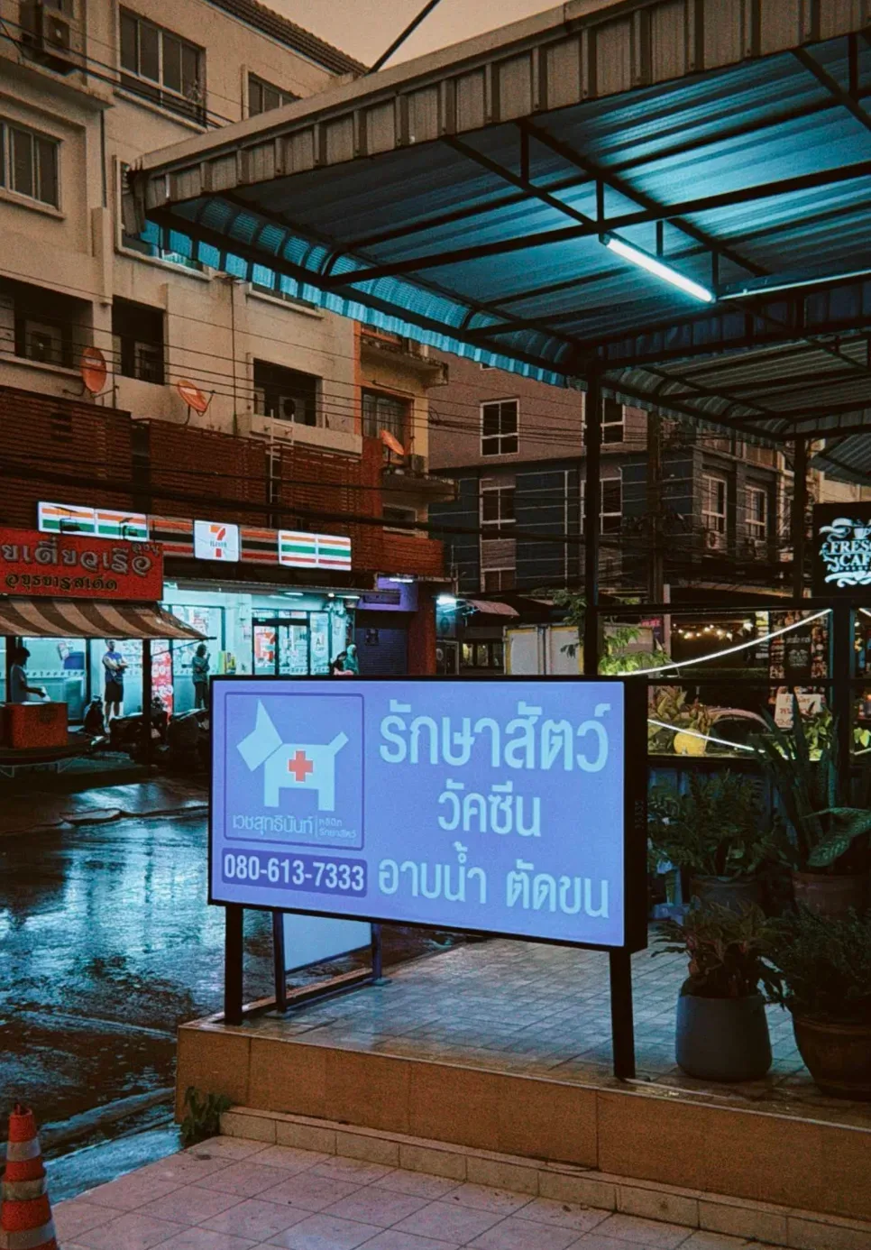คลินิกรักษาสัตว์เวชสุทธินันท์ (VET SUTTINUN ANIMAL CLINIC) คลินิก-โรงพยาบาลสัตว์ กรุงเทพมหานคร 3