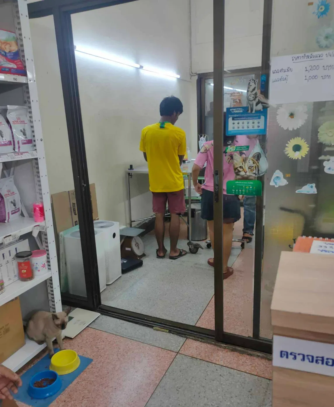 คลินิกรักษาสัตว์ คลินิก-โรงพยาบาลสัตว์ กรุงเทพมหานคร 2