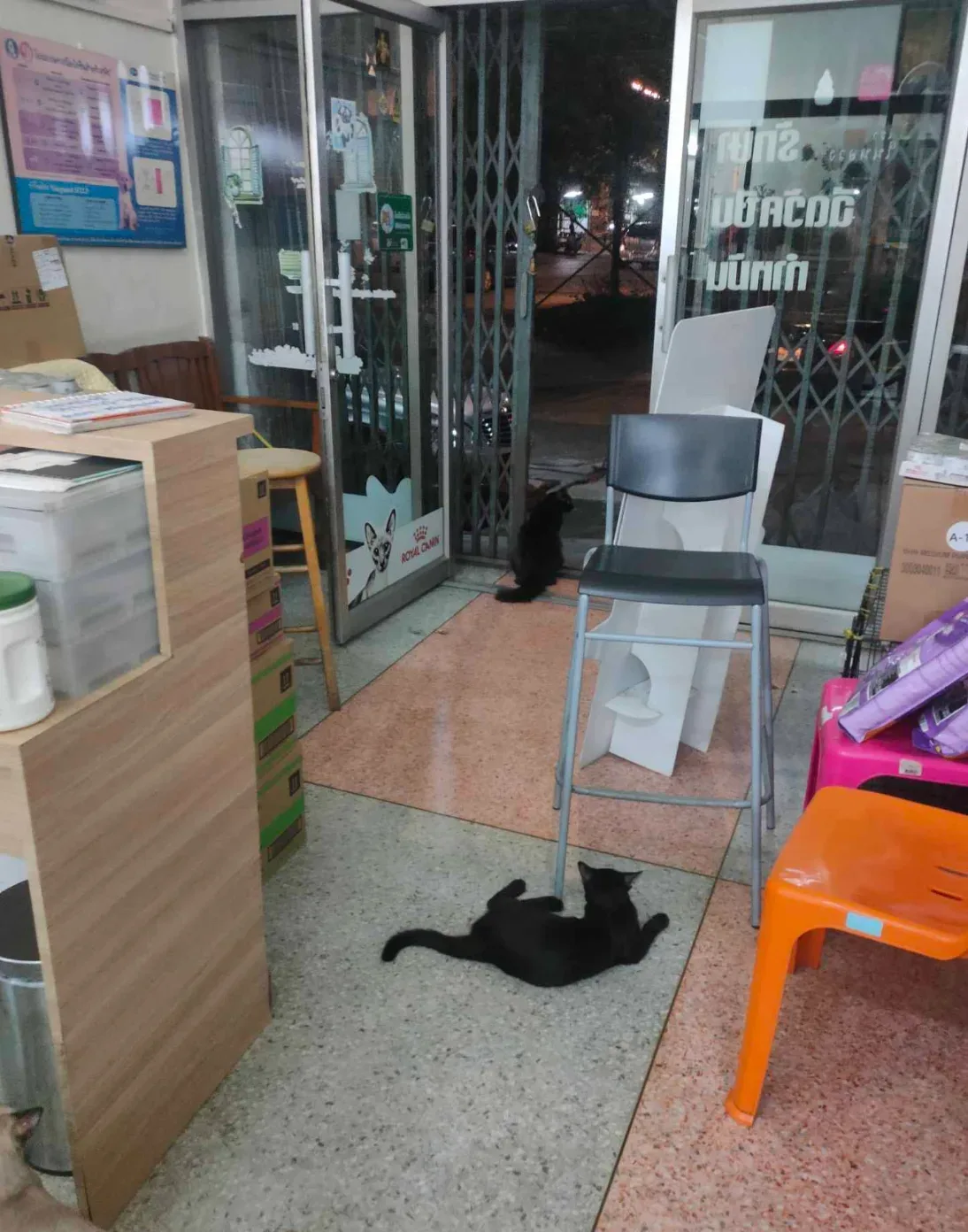 คลินิกรักษาสัตว์ คลินิก-โรงพยาบาลสัตว์ กรุงเทพมหานคร 5