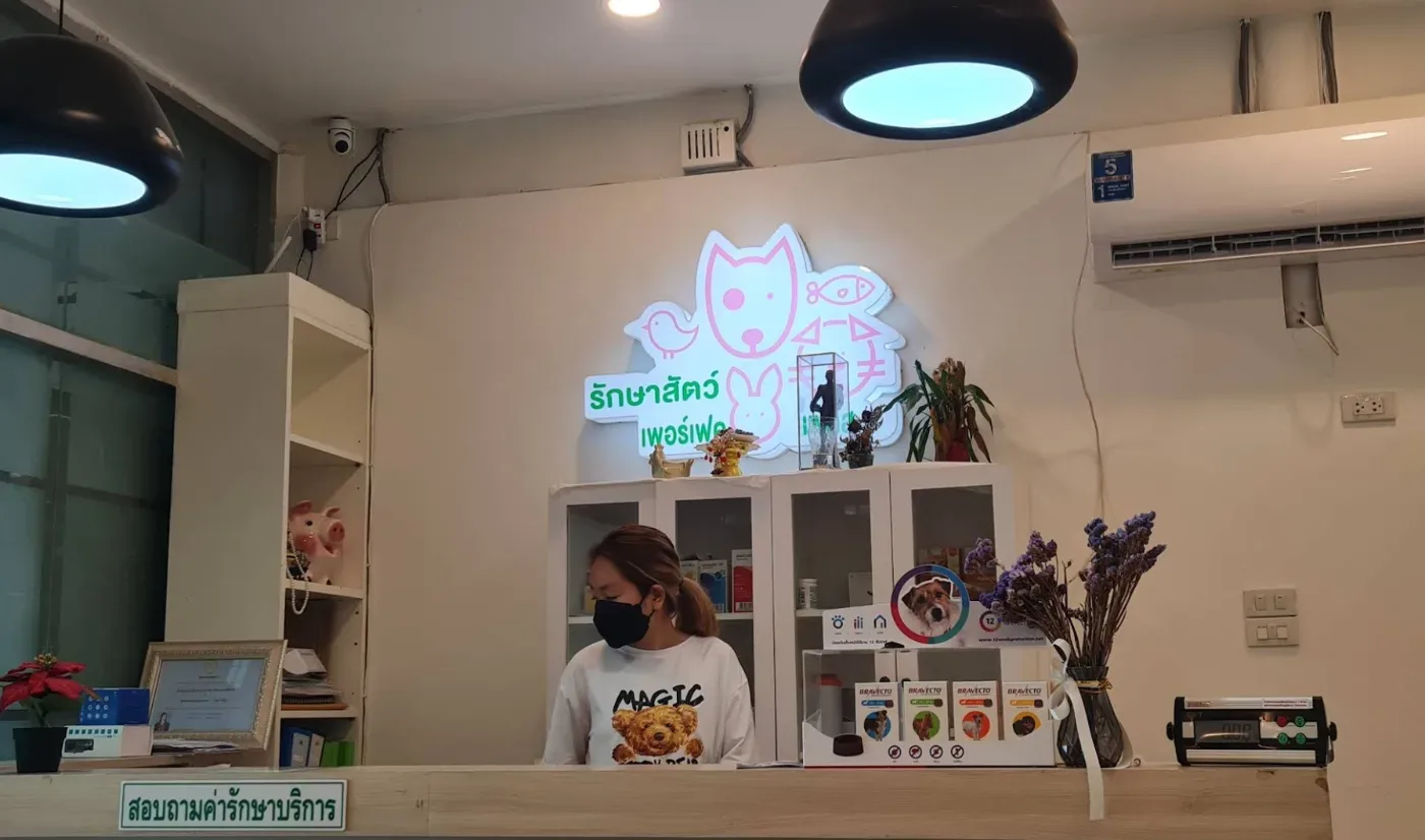 เพอร์เฟคเพลส คลินิกรักษาสัตว์ คลินิก-โรงพยาบาลสัตว์ กรุงเทพมหานคร 3