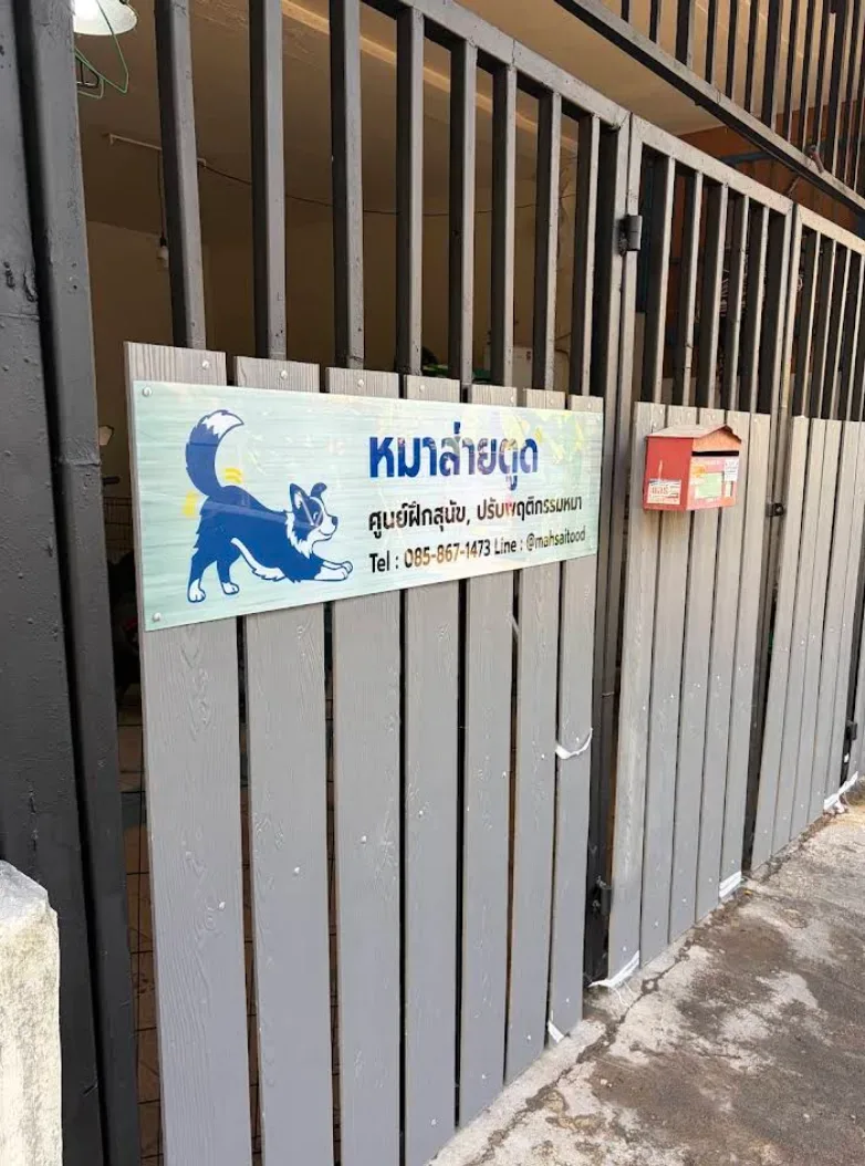 หมาส่ายตูด – ศูนย์ฝึกสุนัข ปรับพฤติกรรมหมา ฝึกและปรับพฤติกรรม นนทบุรี