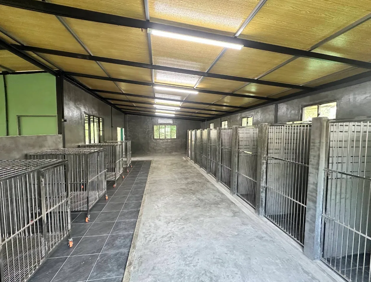 โรงเรียนฝึกสุนัข Nakindog training k-9 ฝึกและปรับพฤติกรรม ปทุมธานี 5