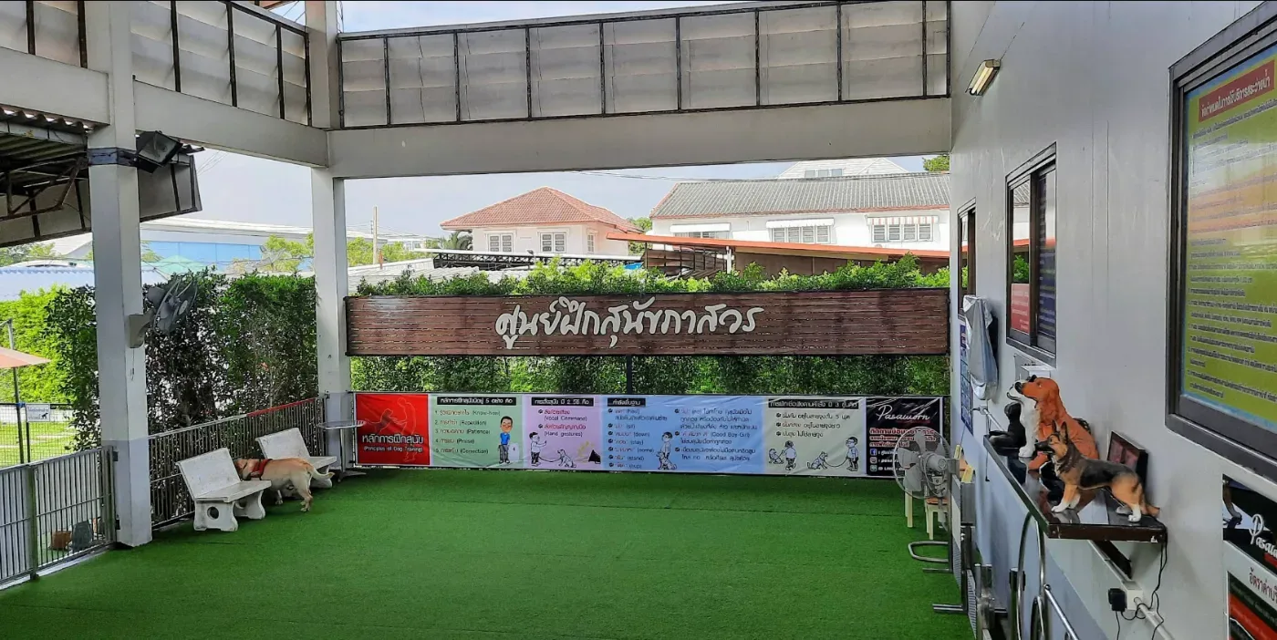 ศูนย์ฝึกสุนัขภาสวร ฝึกและปรับพฤติกรรม กรุงเทพมหานคร 4