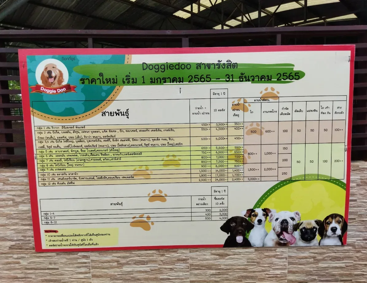 Doggiedoo Rangsit ฝึกและปรับพฤติกรรม ปทุมธานี 6