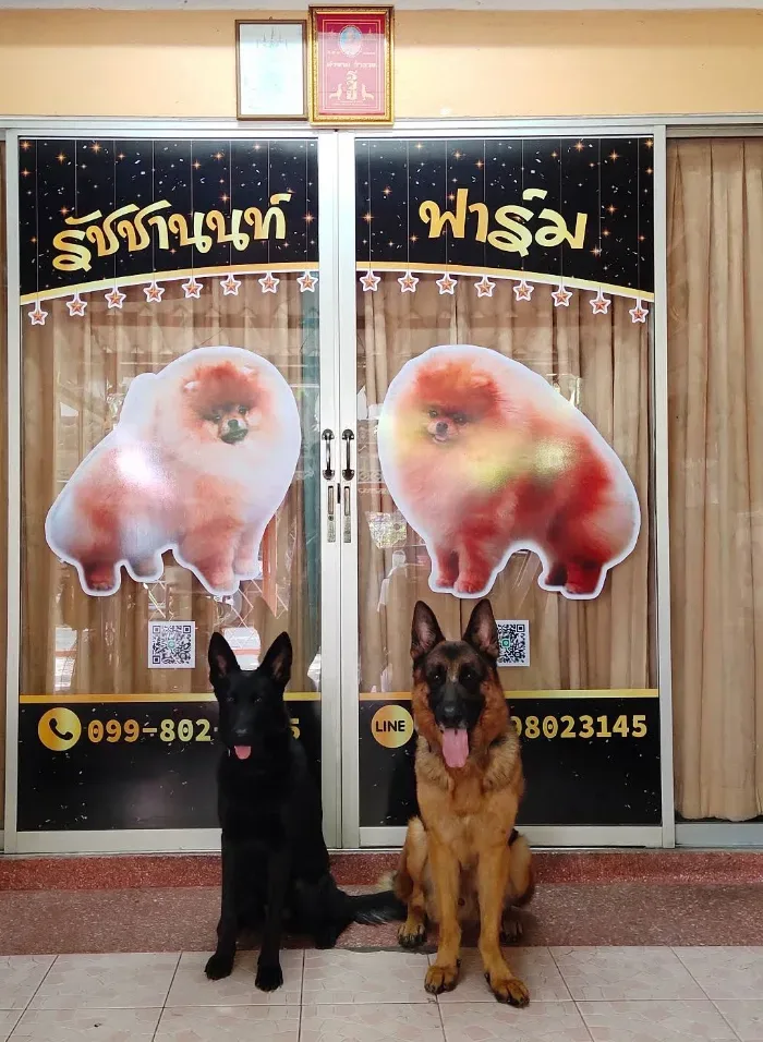 รัชชานนท์ฟาร์ม ปทุมธานี เพาะพันธุ์ ปทุมธานี 2