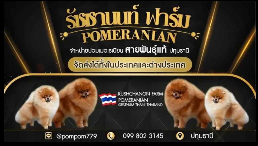 รัชชานนท์ฟาร์ม ปทุมธานี เพาะพันธุ์ ปทุมธานี 5