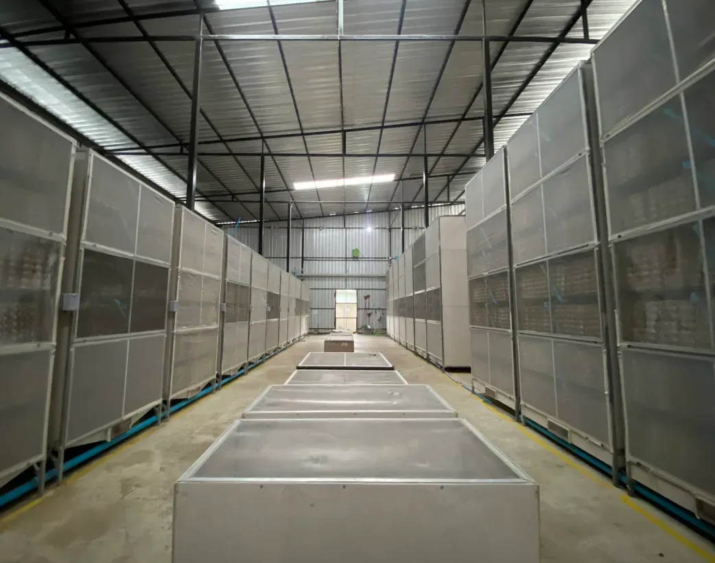 32 BUG FARM เพาะพันธุ์ ปทุมธานี