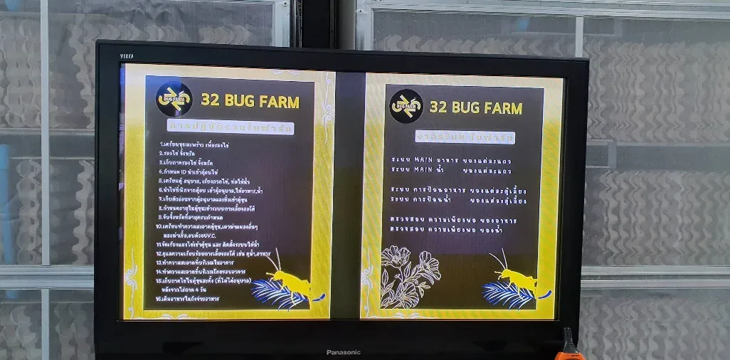 32 BUG FARM เพาะพันธุ์ ปทุมธานี 2