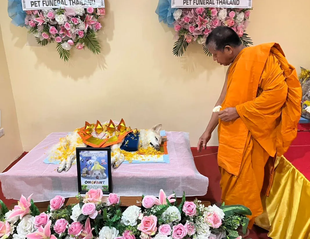 Pet funeral (Wat Chan Suk) เตาเผาสัตว์ petfuneral สาขาวัดจันทรสุข