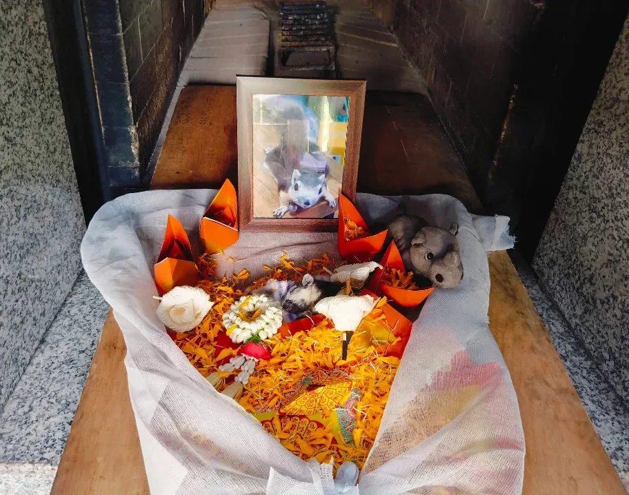 Pet funeral (Wat Chan Suk) เตาเผาสัตว์ petfuneral สาขาวัดจันทรสุข ส่งน้องกลับดาว ปทุมธานี 3