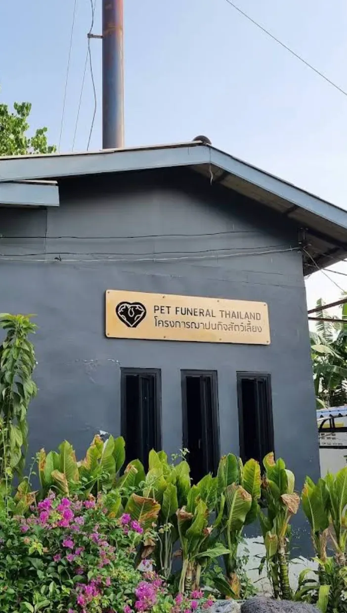 Pet funeral (Wat Chan Suk) เตาเผาสัตว์ petfuneral สาขาวัดจันทรสุข ส่งน้องกลับดาว ปทุมธานี 6