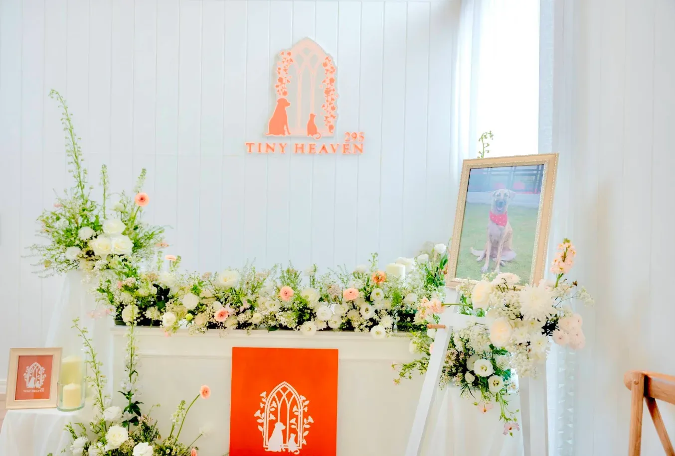 Tiny Heaven 295 บริการรับจัดพิธีศพสัตว์เลี้ยงครบวงจร ส่งน้องกลับดาว กรุงเทพมหานคร 5