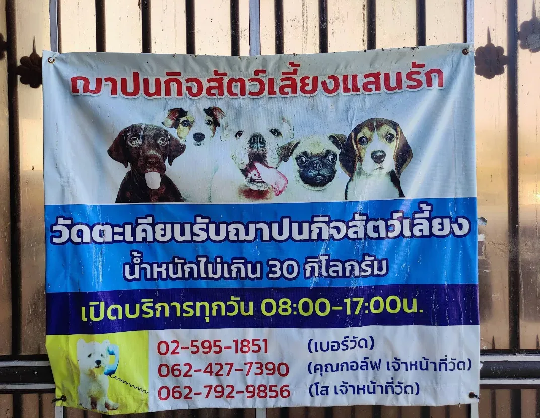ฌาปนกิจสัตว์เลี้ยง วัดตะเคียน