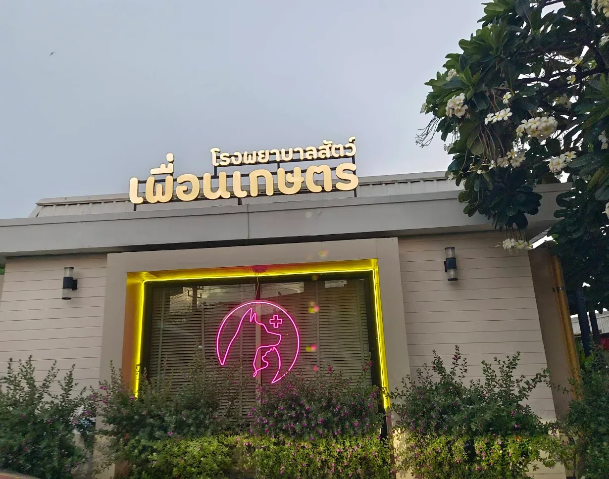โรงพยาบาลสัตว์เพื่อนเกษตร (PKS Animal Hospital) คลินิก-โรงพยาบาลสัตว์ นนทบุรี 5
