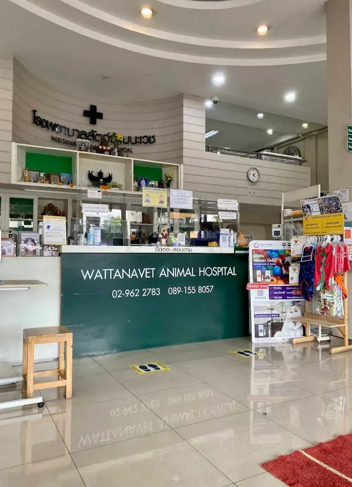 โรงพยาบาลสัตว์วัฒนะเวช คลินิก-โรงพยาบาลสัตว์ นนทบุรี 3