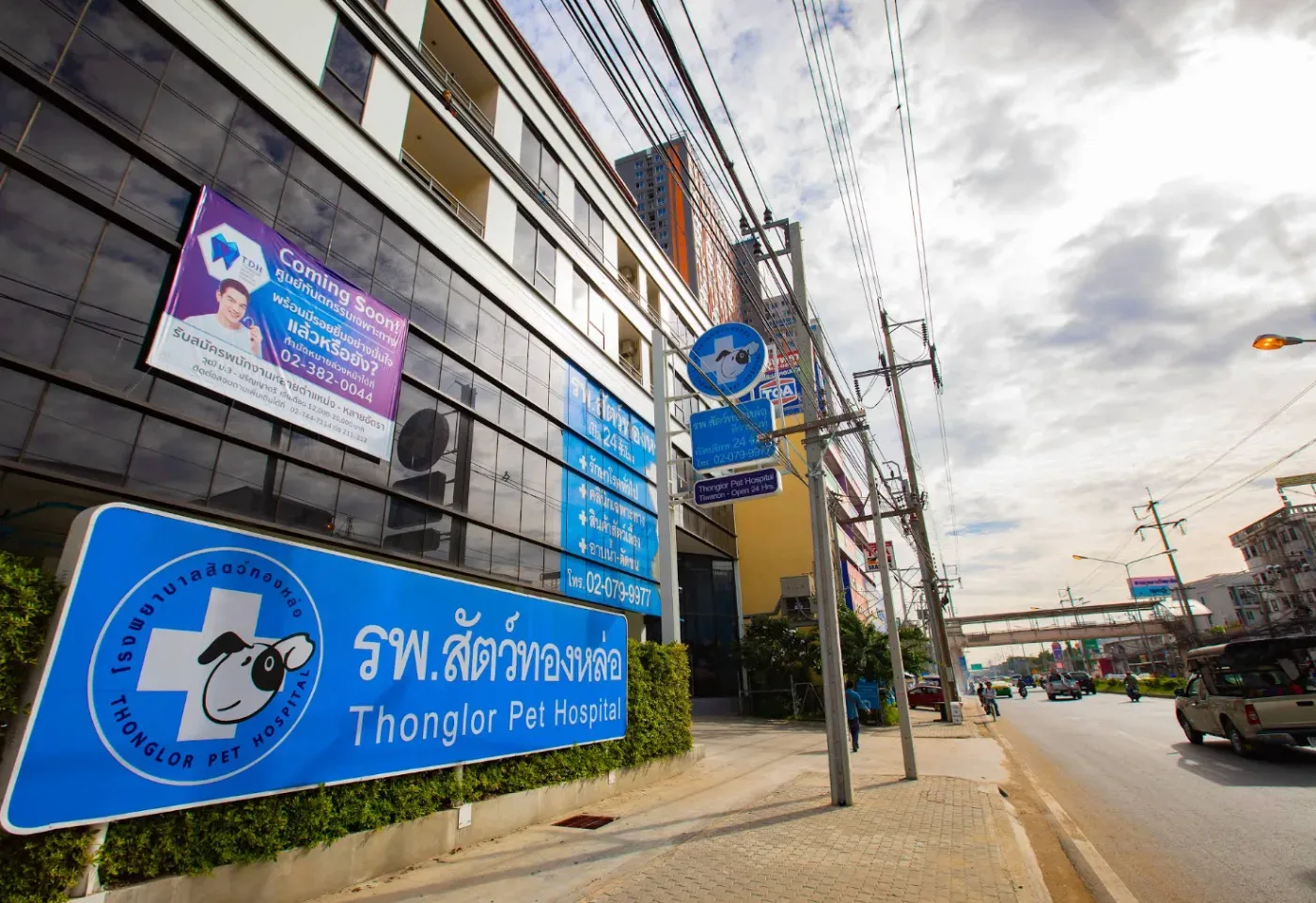 โรงพยาบาลสัตว์ทองหล่อ ติวานนท์ คลินิก-โรงพยาบาลสัตว์ นนทบุรี 3