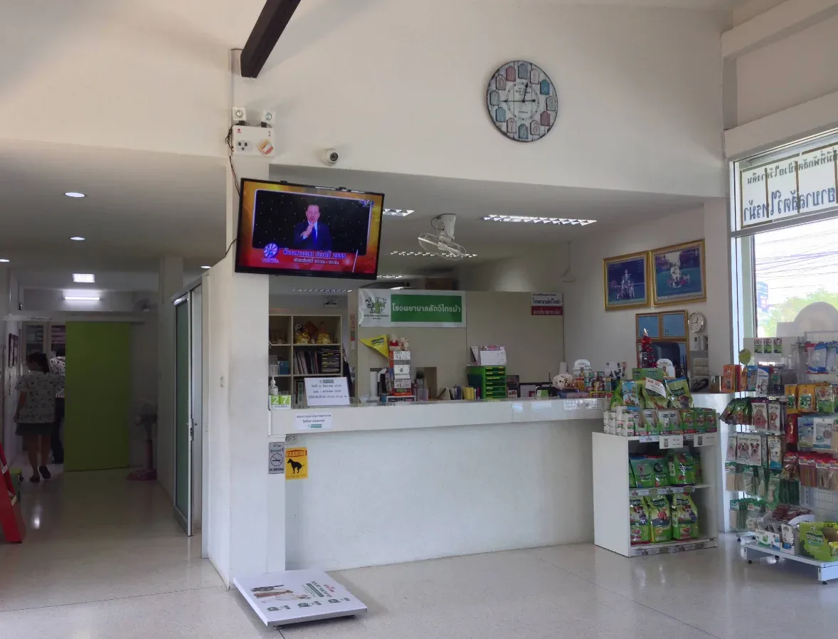 โรงพยาบาลสัตว์ไทรม้า คลินิก-โรงพยาบาลสัตว์ นนทบุรี 2