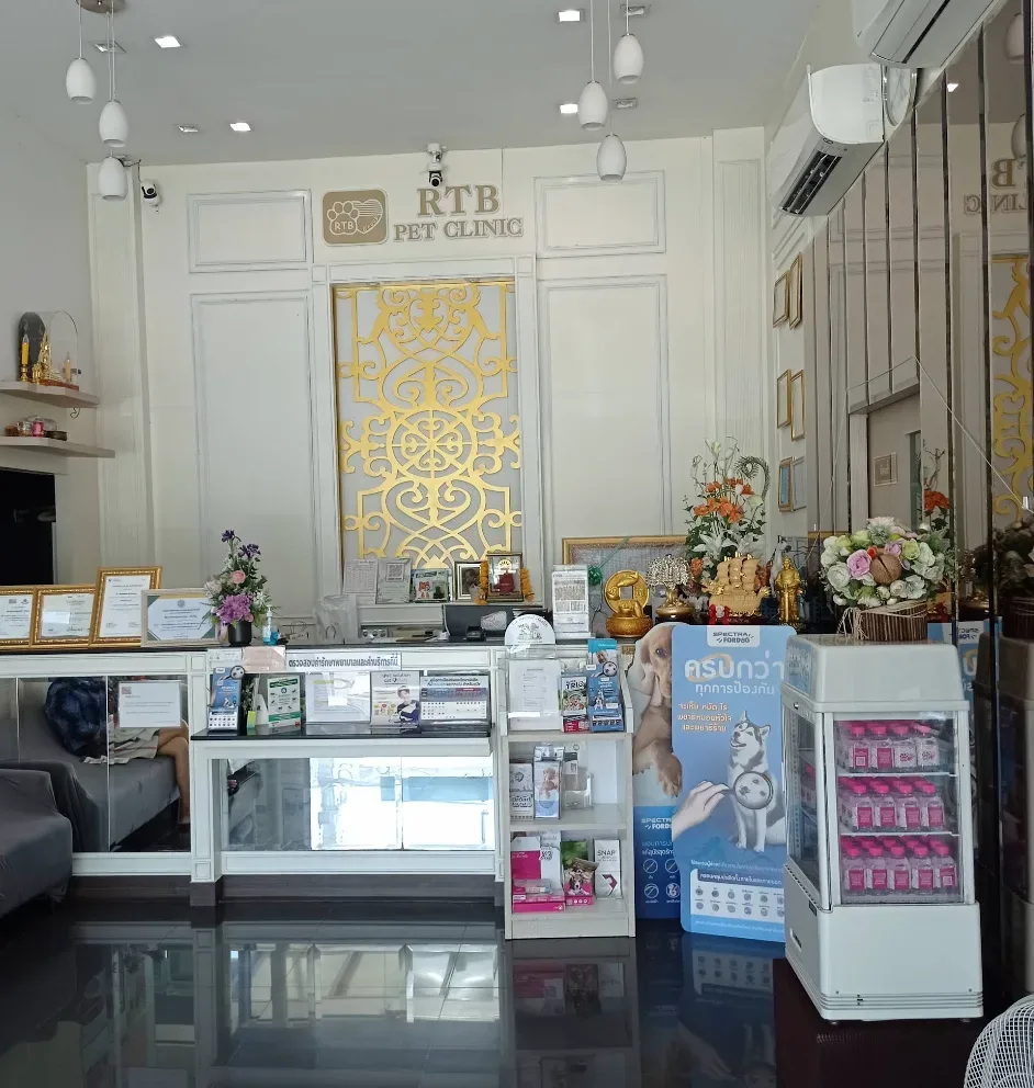 RTB pet clinic สาขาพระนั่งเกล้า(คลินิคในเครือรพส.รัตนาธิเบศร์) คลินิก-โรงพยาบาลสัตว์ นนทบุรี 3